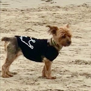 Meet your Posher, Janet